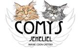 Maine Coon CATTERY COMYS JEHELIEL